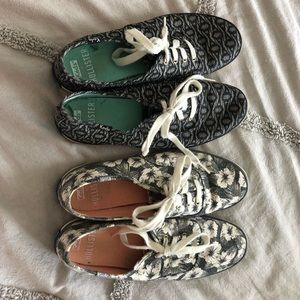Hollister keds